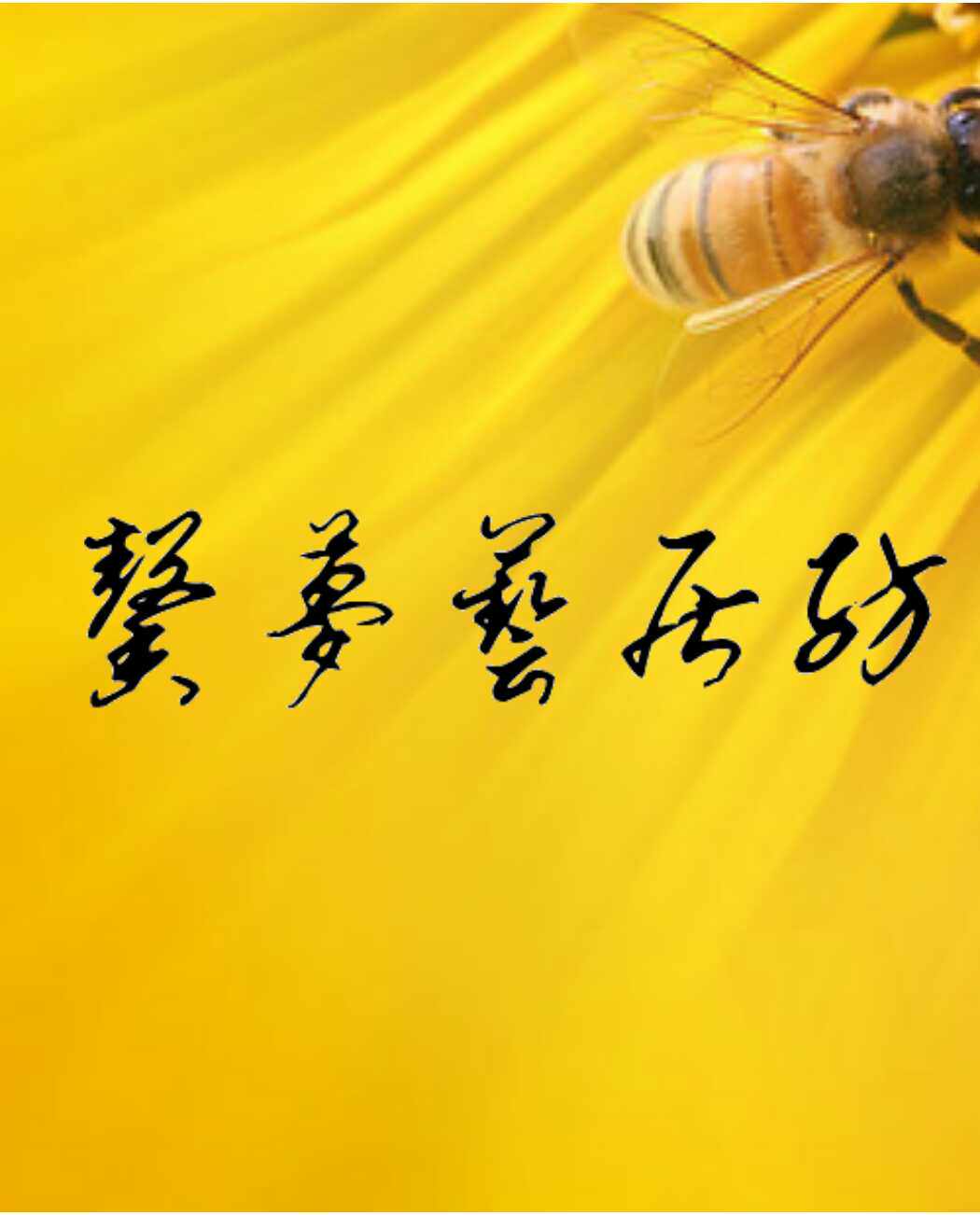 馨梦艺居纺