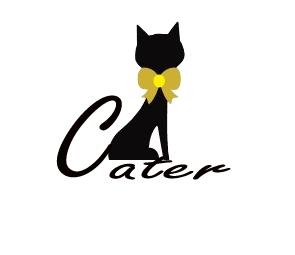 Cater女包