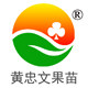广西黄忠文果苗