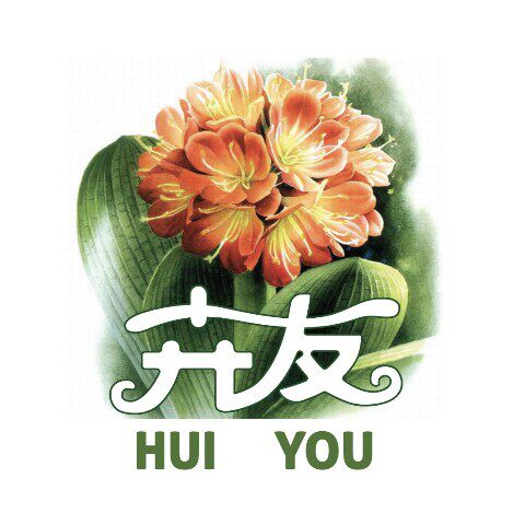 卉友君子兰花卉绿植