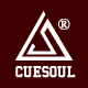 CUESOUL   Q獣
