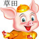 草田菩提子的LOGO