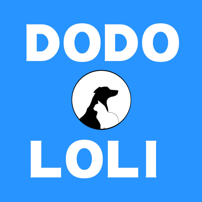 DODOLOLI宠物店