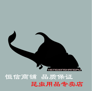 恒信商铺昆虫动物用品的LOGO