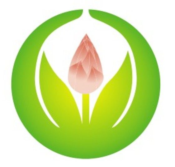 素食心纯素商城的LOGO