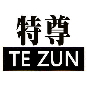 特尊手表旗舰店