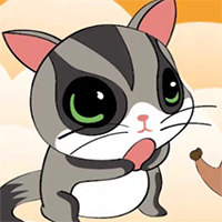 小飞鼠之家