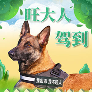 汪达人宠物用品的LOGO