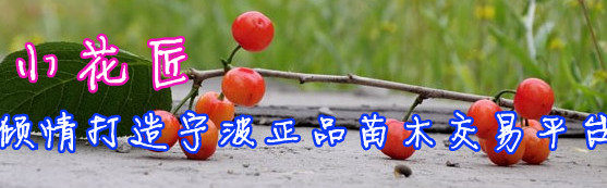 小灰花匠的LOGO