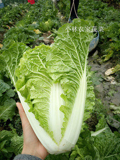小林农家蔬菜