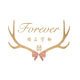 Forever婚品定制