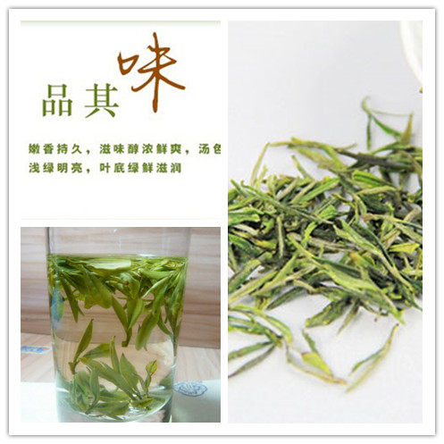 杨氏高山茶叶的LOGO