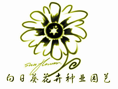向日葵花卉种业园艺