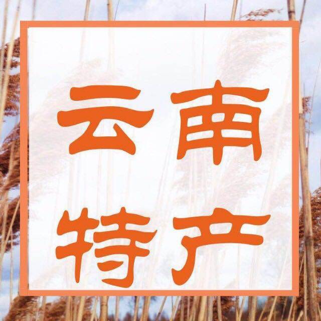 滇乡源云南特产店