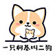 一只柯基叫二狗