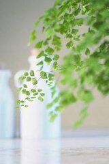 曼媛内衣