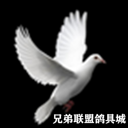 兄弟联盟鸽具城
