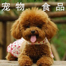 纯天然狗粮猫粮批发