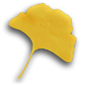 金叶子花卉的LOGO