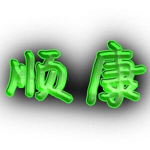 顺康保健企业店的LOGO