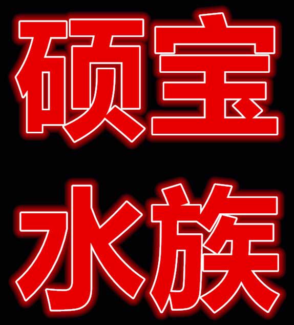 硕宝水族用品店的LOGO