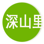 深山里野生菌批发