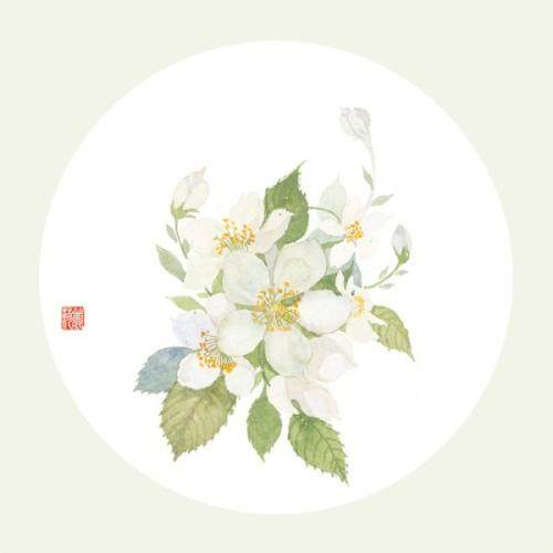 清淼精品CUP的LOGO