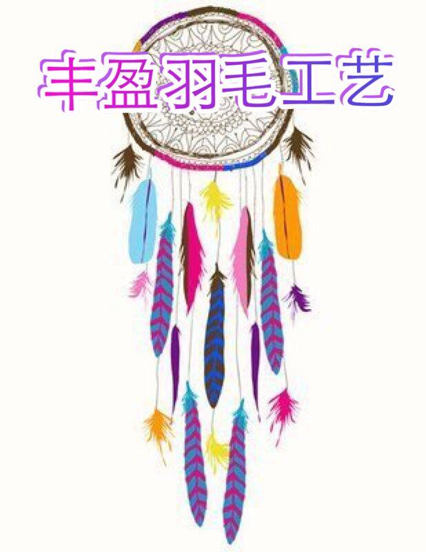 丰盈羽毛工艺品的LOGO