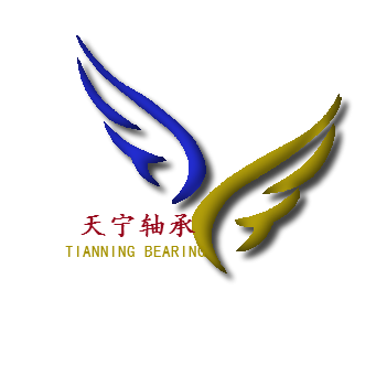 丽水天宁轴承制造有限公司
