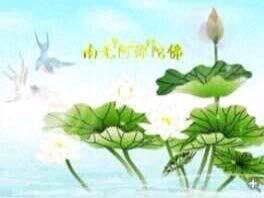 沁沐草药业
