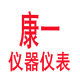 康一电表仪器仪表直销店
