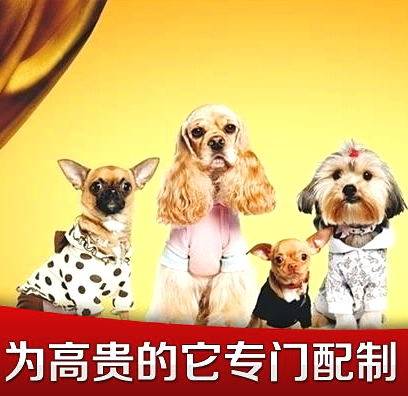 凯威宠物用品店