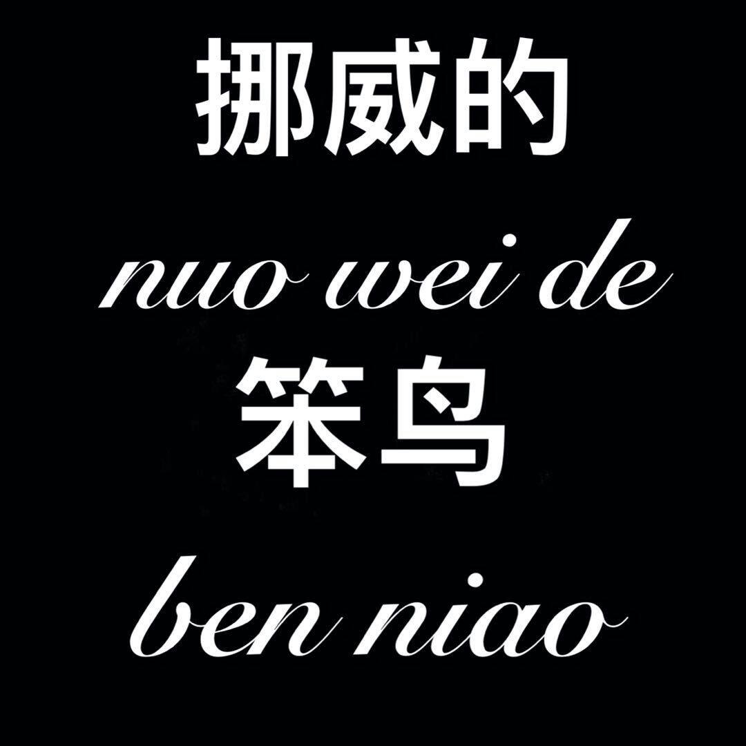 挪威的笨鸟