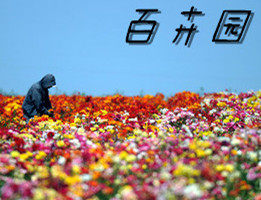 百卉园林的LOGO