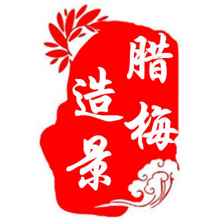 鄢陵腊梅造景
