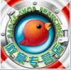 精致徽章