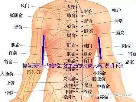 升阳养生之家