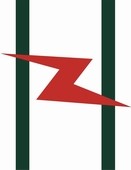 武汉鸿志电气的LOGO