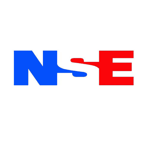 nse恩斯亿旗舰店的LOGO