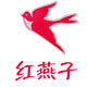 红燕子湖南特产店