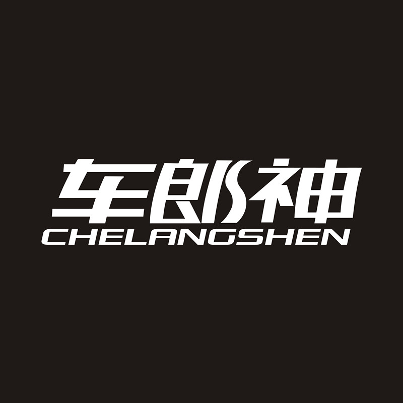 广州朗圣电子科技的LOGO