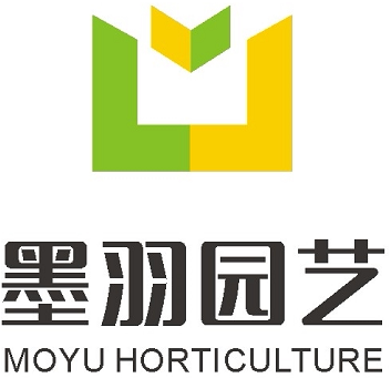 墨羽生活家