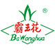 霸王花食品旗舰店的LOGO