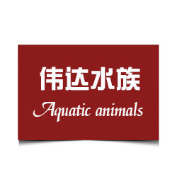 伟达水族