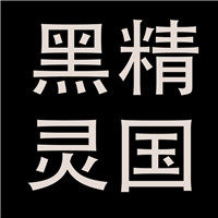 黑精灵国