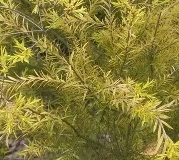 专业接线端子线盒
