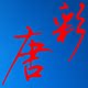 唐山市唐彩贸易有限公司的LOGO