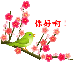衣见钟情外贸