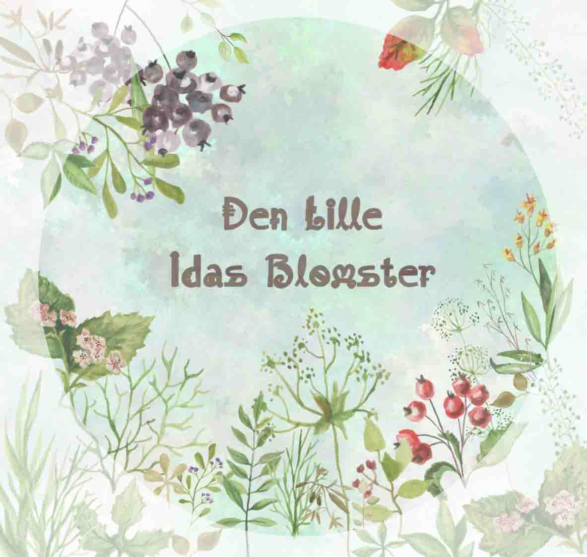 艾达的匣子 Den lille idas blomster