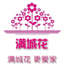 满城花家居旗舰店的LOGO